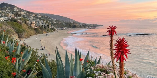 Coastal OC: Constitutional Showdown: Huntington Beach Petitions U.S. Supreme Court Over Voter ID